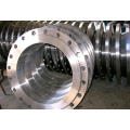 Carbon Steel Flange with Lr, DIN/ANSI/En/JIS